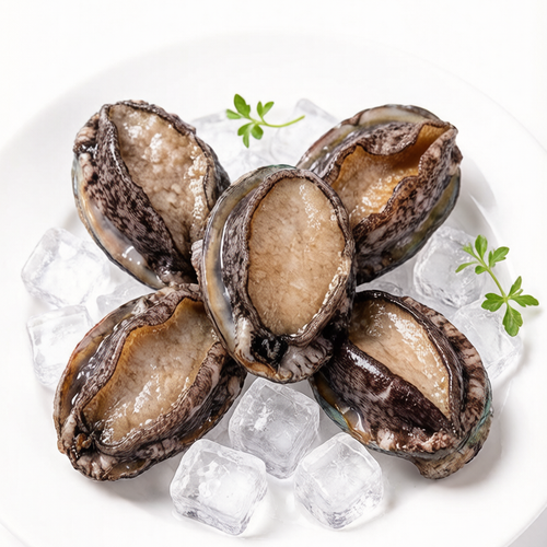 Fresh Live Abalone