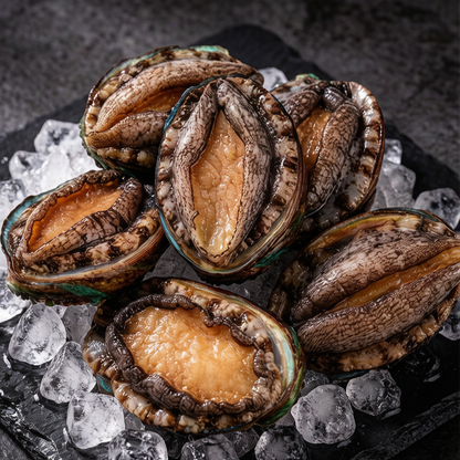 Fresh Live Abalone